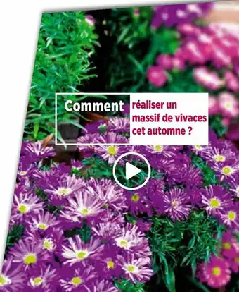 Delbard Comment Réaliser Un Massif De Vivaces Cet Automne? offre