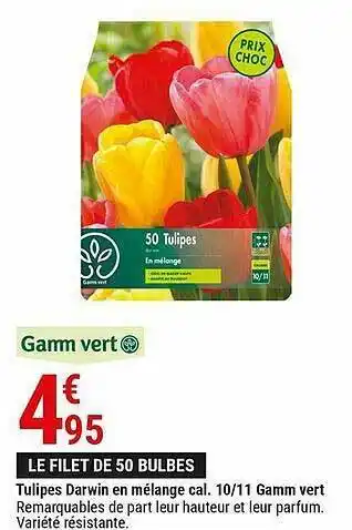 Gamm vert Tulipes Darwin En Mélange Cal. 10-11 Gamm Vert offre