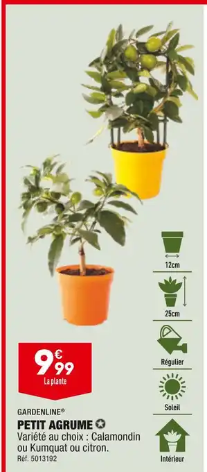 ALDI Gardenline petit agrume offre