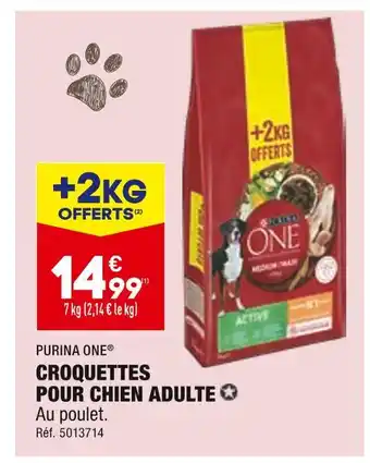 ALDI Purina one croquettes pour chien adulte offre