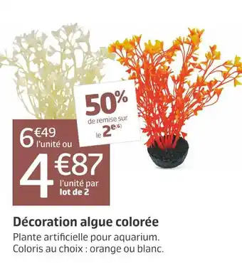Décoration algue colorée