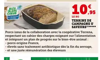 Super U U saveurs terrine de campagne offre