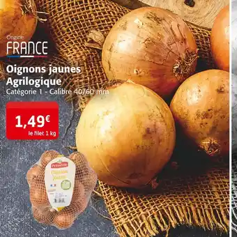 Priméale oignons jaunes agrilogique