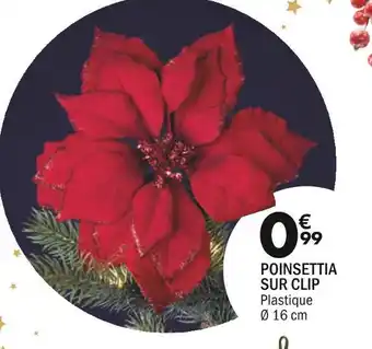 La Foir'Fouille Poinsettia sur clip offre