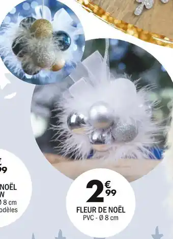 Fleur de noël