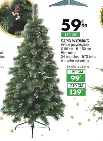 La Foir'Fouille Sapin wyoming offre