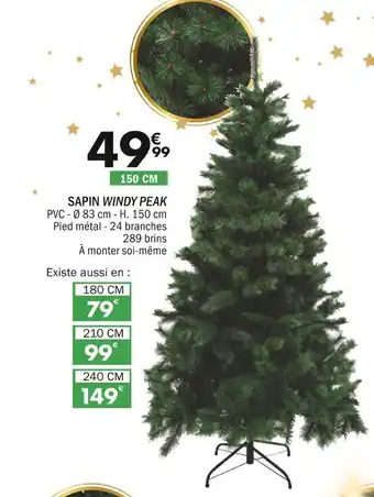 La Foir'Fouille Sapin windy peak offre