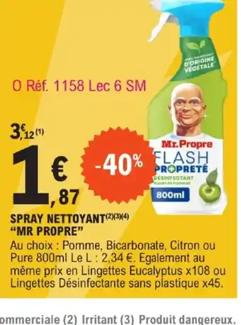 SPRAY NETTOYANT MR PROPRE