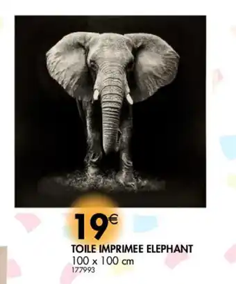La Foir'Fouille Toile impromee elephant offre