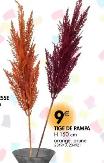 La Foir'Fouille Tige de pampa offre