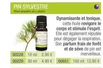 Pin Sylvestre