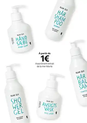 Flying Tiger Assortiment Extrait De La Mer Morte offre