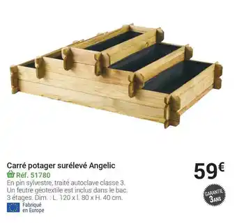 Carré Potager Surélevé Angelic