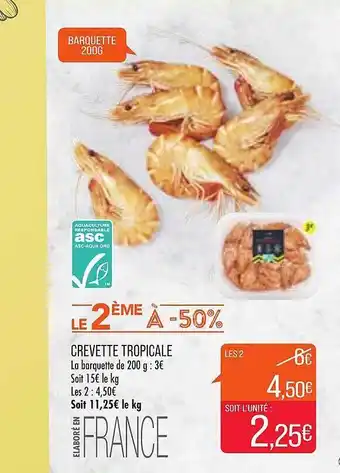 Match Crevette Tropicale offre