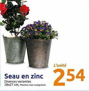 Action Seau En Zinc offre