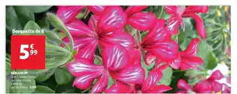 Auchan Géranium offre