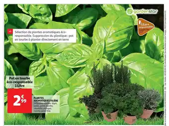 Auchan Plantes Aromatiques Filière offre