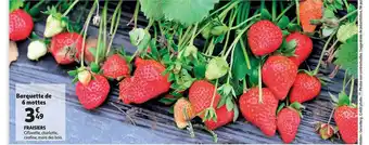 Auchan Fraisiers offre