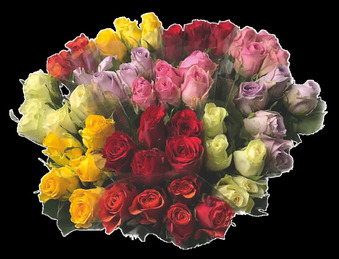 U Express BOUQUET DE 5 ROSES offre