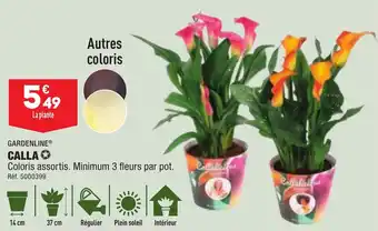 ALDI CALLA offre
