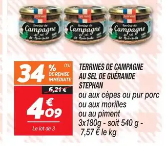 Netto TERRINES DE CAMPAGNE AU SEL DE GUÉRANDE offre