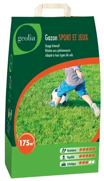 GAZON SPORT ET JEUX 5 KG