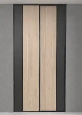 PACK DE 2 PORTES DE PLACARD DAKOTA / NOIR L 120 X H 250 CM