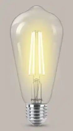 LOT DE 2 AMPOULES LED À FILAMENT EDISON