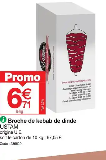 Broche de kebab de dinde USTAM
