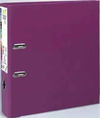 Bureau Vallée CLASSEUR PREMTOUCH offre