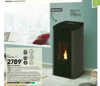 Bricorama Poêle Canalisable Duke 14 Freepoint offre