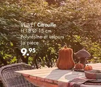 Velvet Citrouille