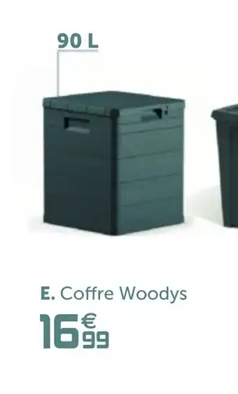 Gifi Coffre Woodys offre