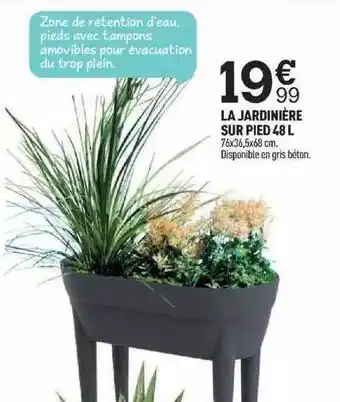 Centrakor La Jardinière Sur Pied 48 L offre