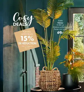 Casa Palmier offre