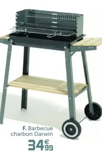 Gifi Barbecue charbon Darwin offre