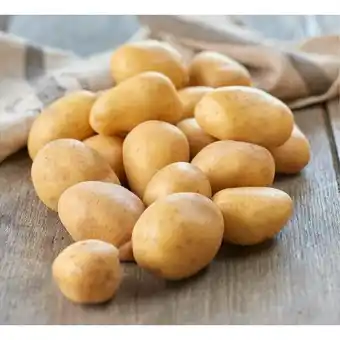 Carrefour Market Pomme de terre de consommation blanche à chair ferme agroécologie filière qualité carrefour offre