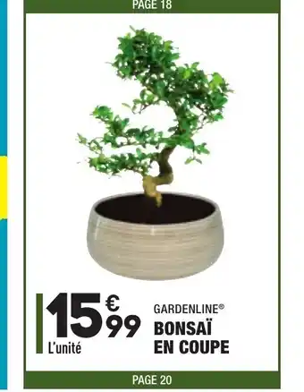 ALDI Bonsai En Coupe offre
