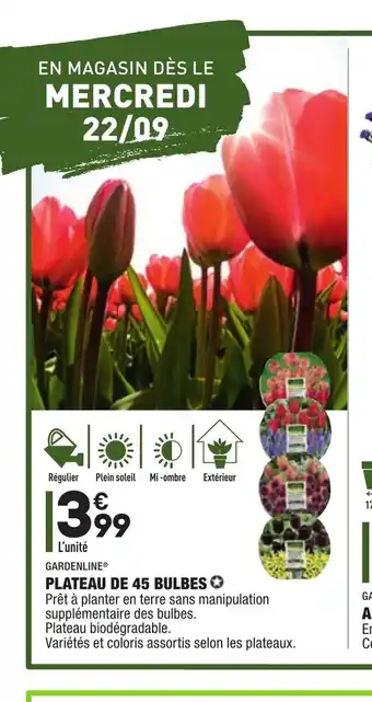 ALDI Plateau De 45 Bulbes offre