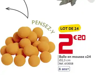 Gifi Balle en mousse x24 offre