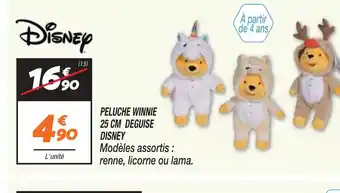Netto PELUCHE WINNIE 25 CM DEGUISE offre