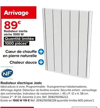 Castorama Radiateur inertie sèche 1000 W offre