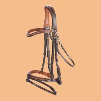Filet équitation cuir muserolle française surpiqué poney - 580 marron