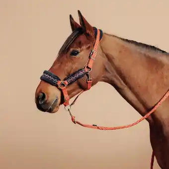 Kit licol et longe équitation cheval et poney - confort terracotta et bleu noir