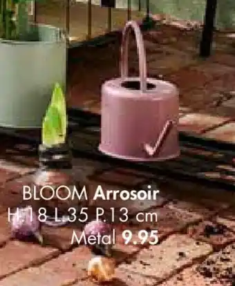 Arrosoir
