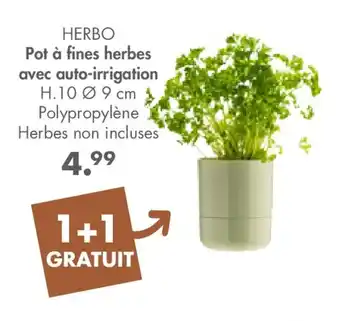 Pot à fines herbes avec auto-irrigation