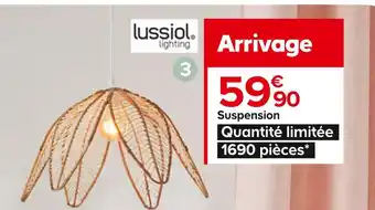 Castorama Lussiol lighting suspension flower offre