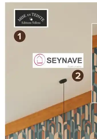 Castorama Tollens peinture couleur mise en teinte offre