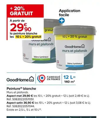 Castorama Peinture blanche offre