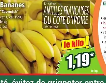 Norma Bananes offre